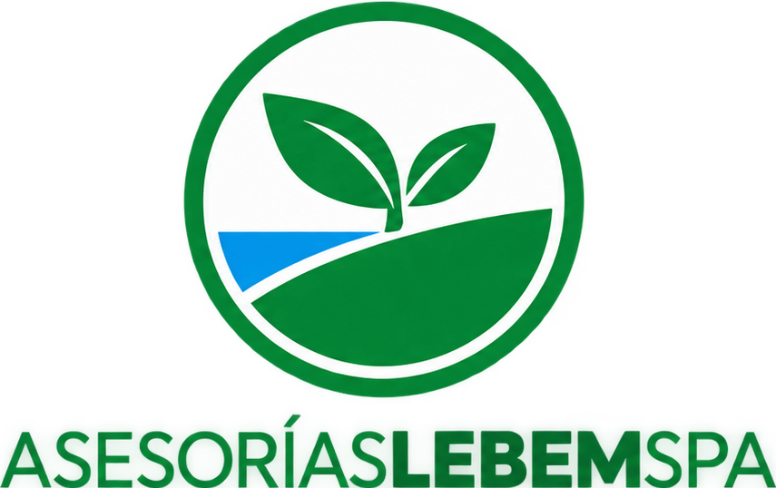 Asesorías Lebem